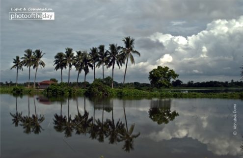 Imitation Life, by Abhishek Dutta - Travel Photography, Award Winning Photography, Photo of the Day,  Photography Awards, Art Photography