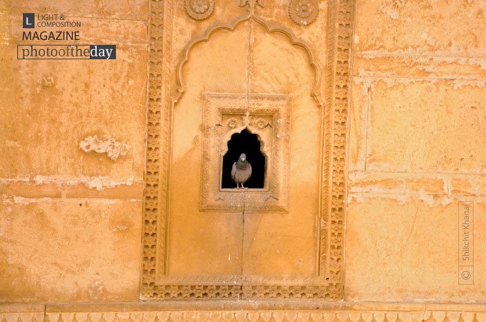 Waiting for Ourselves… Pigeon in Waiting, by Shikchit Khanal - Photojournalism, Travel Photography, Photo of the Day, Award Winning Photography, Light & Composition University