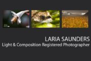 Laria Saunders - Award-winning photographer, Art Photography, Collage Photography, Photo of the Month, Light & Composition