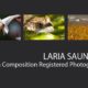 Laria Saunders - Award-winning photographer, Art Photography, Collage Photography, Photo of the Month, Light & Composition