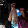 Hilsa by Ashik Masud - Documentary Photography, Photojournalism, Ashik Masud, Photography Awards, Photo of the Day