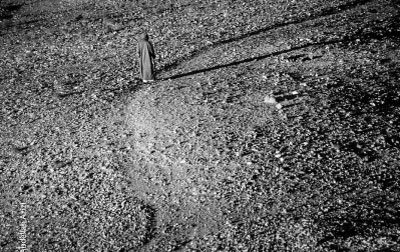 Almost Done, by Abdellah Azizi Almost Done, by Abdellah Azizi - Photojournalism, Black and White Photography, Photography Awards, Photo of the Day, Abdellah Azizi