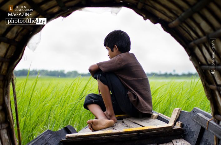 Lost in the green, by Shahnaz Parvin Lost in the green, by Shahnaz Parvin - Photojournalism, Candid Photography, Documentary Photography, Art Photography, Photo of the Day