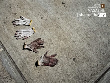 Work Gloves, by Keith Goldstein - Still Life Photography, Photography Awards, Photo of the Day, Award Winning Photography, Fine Art Photography