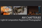 Avi Chatterjee - Avi Chatterjee, Photographer, Macro Photography, Wedding Photography, Dubai Photographer