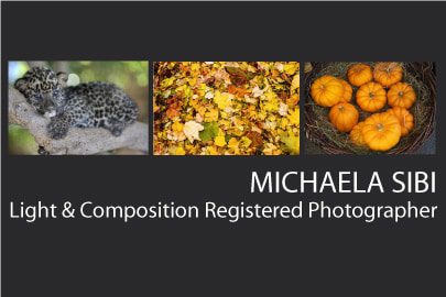 Michaela Sibi - Art Photography, Fine Art Photography, Photography Awards, Photographer, Michaela Sibi