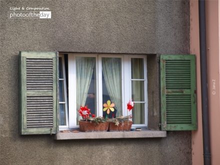 It Must Be Spring, by Jana Z - Still Life Photography, Photography Awards, Photo of the Day, Art Photography, Online Photography Courses