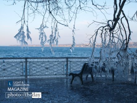 I said freeze! by Jana Z - Nature Photography, Photography Awards, Photo of the Day, Art Photography, Online Photography Courses