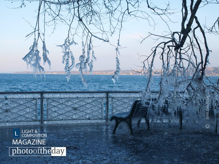 I said freeze! by Jana Z I said freeze! by Jana Z - Nature Photography, Photography Awards, Photo of the Day, Art Photography, Online Photography Courses