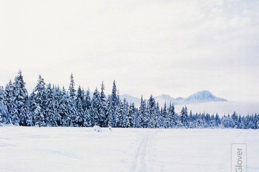 Across the Winter Landscape, by Ronnie Glover Across the Winter Landscape, by Ronnie Glover - Landscape Photography, Photography Awards, Photo of the Day, Art Photography, Nature Photography