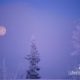 Frosty Moon, by Ronnie Glover - Nature Photography, Photography Awards, Photo of the Day, Landscape Photography, Award Winning Photography