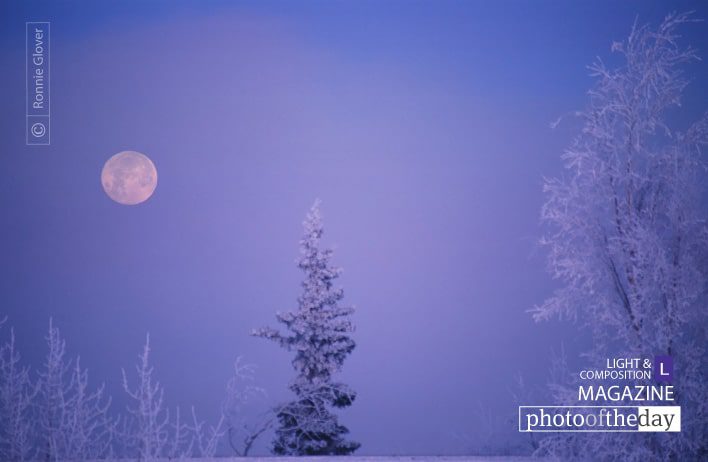 Frosty Moon, by Ronnie Glover Frosty Moon, by Ronnie Glover - Nature Photography, Photography Awards, Photo of the Day, Landscape Photography, Award Winning Photography