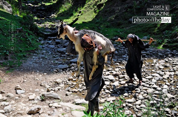 An Old Shepherd, by Lothar Seifert An Old Shepherd, by Lothar Seifert - Photojournalism, Photography Awards, Travel Photography, Documentary Photography, Lothar Seifert