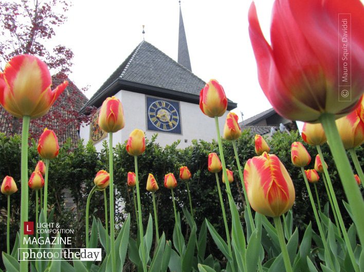 Lagundo by Mauro Squiz Daviddi Lagundo by Mauro Squiz Daviddi - Nature Photography, Photography Awards, Photo of the Day, Lagundo, Mauro Squiz Daviddi