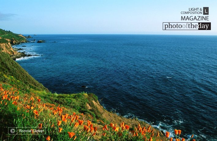 Happy View, by Ronnie Glover Happy View, by Ronnie Glover - Landscape Photography, Photo of the Day, Award Winning Photography, Nature Photography, Photography Education