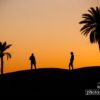 Sahara Palms, by Abdellah Azizi - Sunset Photography, Landscape Photography, Photo of the Day, Photography Awards, Abdellah Azizi
