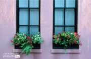 Still Life Photography, Photography Awards, Photo of the Day, Art Photography, Photography Education – Window Boxes, by Ronnie Glover Window Boxes, by Ronnie Glover - Still Life Photography, Photography Awards, Photo of the Day, Art Photography, Photography Education
