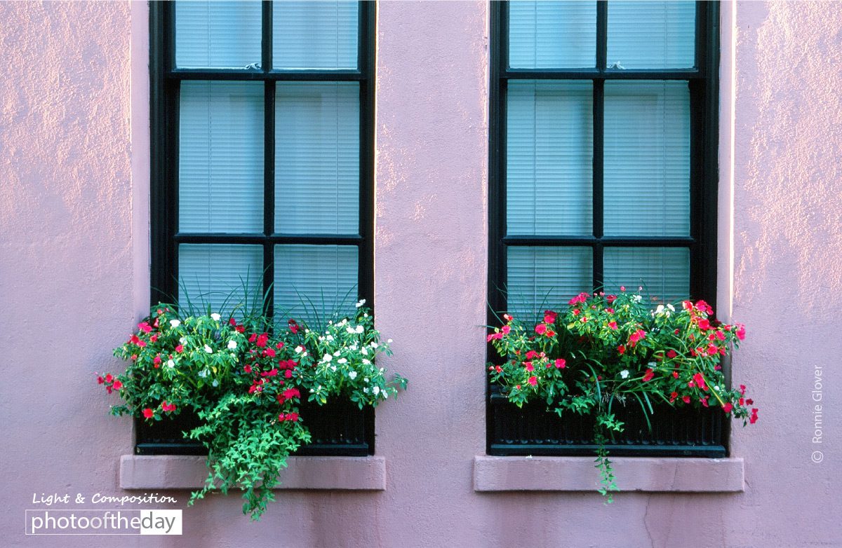 Window Boxes, by Ronnie Glover Window Boxes, by Ronnie Glover - Still Life Photography, Photography Awards, Photo of the Day, Art Photography, Photography Education