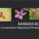 Barbara Bowen Barbara Bowen - Nature Photography, Wildlife Photography, Award-Winning Photographer, Barbara Bowen, Fine Art Photography