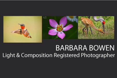 Barbara Bowen - Nature Photography, Wildlife Photography, Award-Winning Photographer, Barbara Bowen, Fine Art Photography