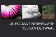 An Exclusive Interview with Rob van der Waal - Nature Photography, Photography Interview, Photo of the Month, Art Photography, Online Photography Courses