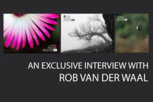 An Exclusive Interview with Rob van der Waal