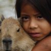Peruvian Girl and Friend, by Claudio Bacinello - Photojournalism, Photography Awards, Portrait Photography, Documentary Photography, Capybara