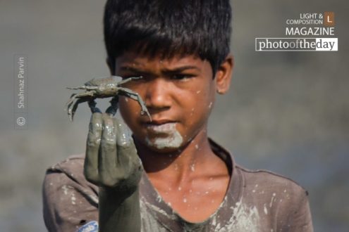 The Boy with Crab, by Shahnaz Parvin - Documentary Photography, Photojournalism, Photography Awards, Art Photography, Photo of the Day