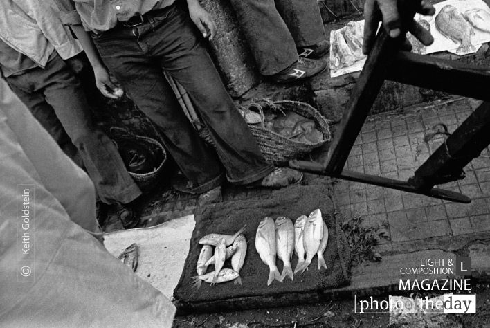 Fish Monger, by Keith Goldstein Fish Monger, by Keith Goldstein - Street Photography, Photojournalism, Photography Awards, Art Photography, Online Photography Courses