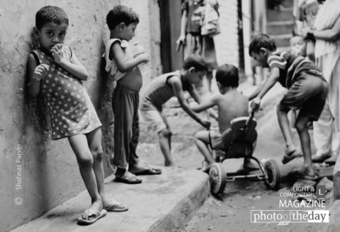 Single Frame by Shahnaz Parvin - Photojournalism, Street Photography, Documentary Photography, Photo of the Day, Shahnaz Parvin