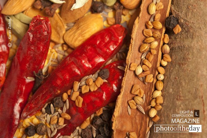 Indian Spices, by Karan Zadoo Indian Spices, by Karan Zadoo - Food Photography, Photography Awards, Photo of the Day, Art Photography, Karan Zadoo