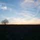 Tree, Field, and a Sunset, by Darshan Vaishnav - Photography, Photo of the Day, Award Winning Photography, Landscape Photography, Sunset Photography