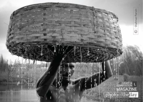 Boldness in the Look, by Shahnaz Parvin - Photojournalism, Documentary Photography, Portrait Photography, Photography Awards, Award-Winning Photography