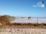 Ice Cold Hay, by Tisha Clinkenbeard - Nature Photography, Photography Award, Photo of the Day, Ice Storm Photography, Fine Art Photography
