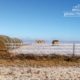 Ice Cold Hay, by Tisha Clinkenbeard - Nature Photography, Photography Award, Photo of the Day, Ice Storm Photography, Fine Art Photography