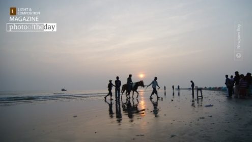 Pleasing Time, by Nirupam Roy - Photography Awards, Sunset Photography, Art Photography, Online Photography Courses, Photojournalism
