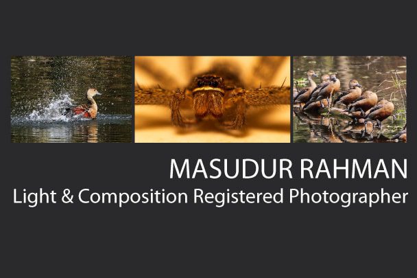 Masudur Rahman Masudur Rahman - Wildlife Photography, Bird Photography, Photojournalism, Photography Awards, Masudur Rahman
