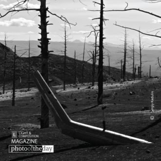Geometry of Dead Forest, by Sergiy Kadulin - Nature Photography, Award Winning Photography, Photo of the Day, Landscape Photography, Fine Art Photography