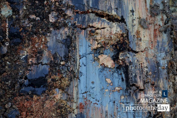 The Painted Earth, by Shahnaz Parvin The Painted Earth, by Shahnaz Parvin - Abstract Photography, Photojournalism, Photography Awards, Photo of the Day, Online Photography Courses