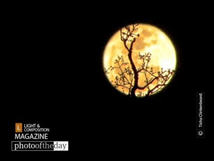 Holding the Moon in Her Hands, by Tisha Clinkenbeard - Night Photography, Award Winning Photography, Photo of the Day, Photography Awards, Astrophotography