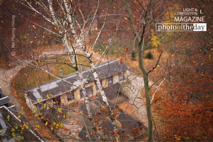 Autumn in Transition, by Mai Phuong Duong Autumn in Transition, by Mai Phuong Duong - Nature Photography, Photography Awards, Photo of the Day, Autumn Photography, Landscape Photography