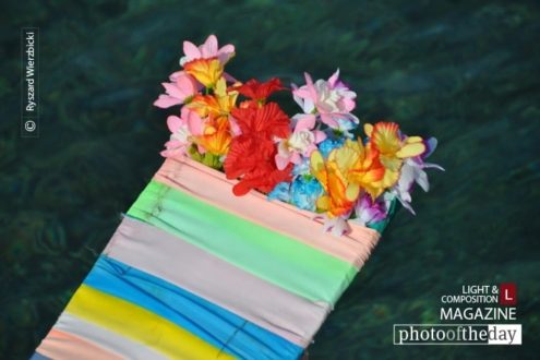 Bow Decoration, by Ryszard Wierzbicki - Photojournalism, Photography Awards, Color Photography, Art Photography, Photo of the Day