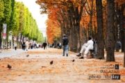 Autumn in Paris, by Minh Nghia Le - Photography, Nature Photography, Photo of the Day, Autumn Photography, Paris Photography