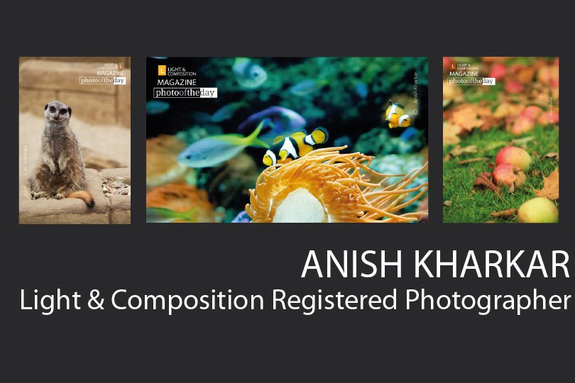 Anish Kharkar - Photography, Astrophotography, Macro Photography, Pet Photography, Photo Awards