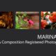 Marina Hof - Photojournalism, Photography Awards, Art Photography, Marina Hof, Light & Composition