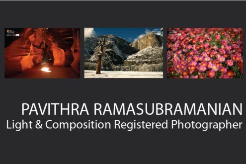 Pavithra Ramasubramanian - photography, nature photography, wildlife photography, photo awards, Light & Composition