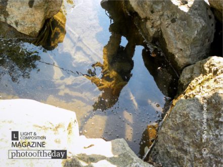 Fishing Reflection, by Tisha Clinkenbeard - Artistic Photography, Reflection Photography, Photo of the Day, Photography Awards, Light & Composition University