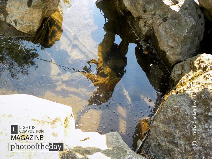 Artistic Photography, Reflection Photography, Photo of the Day, Photography Awards, Light & Composition University - Fishing Reflection, by Tisha Clinkenbeard Fishing Reflection, by Tisha Clinkenbeard - Artistic Photography, Reflection Photography, Photo of the Day, Photography Awards, Light & Composition University