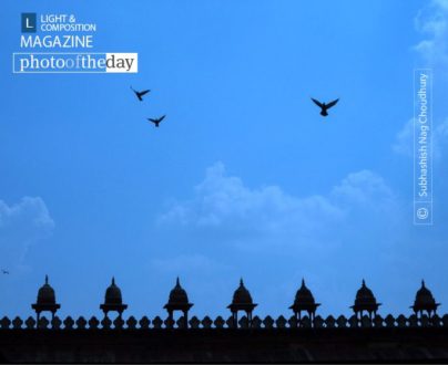 The Natural Frame by Subhashish Nag Choudhury