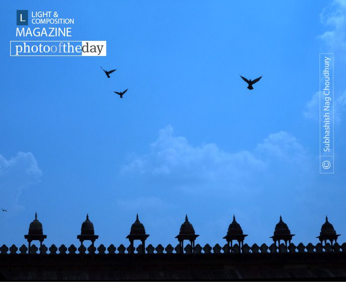 The Natural Frame, by Subhashish Nag Choudhury The Natural Frame, by Subhashish Nag Choudhury - Artistic Photography, Photography Awards, Photo of the Day, Photography Education, Online Photography Courses